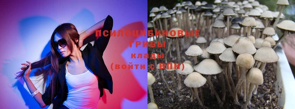 Альфа ПВП Михайлов