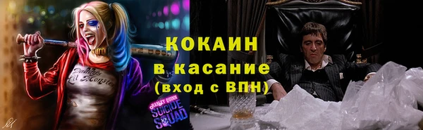 бошки Надым