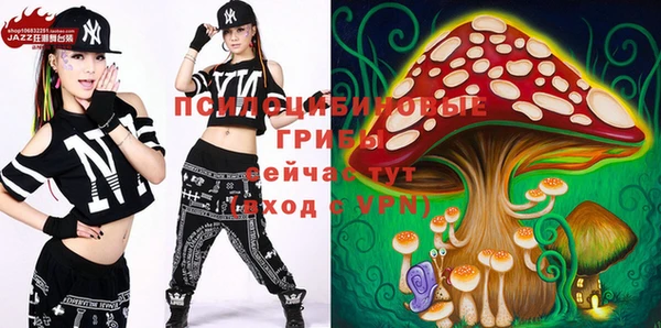 ГАЛЛЮЦИНОГЕННЫЕ ГРИБЫ Михайловск