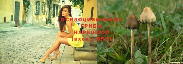Альфа ПВП Михайлов
