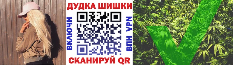 Каннабис план Жердевка